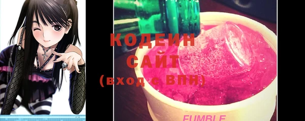 амф Осинники